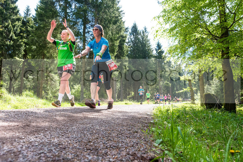 Rennsteiglauf 2019 | Marathon Neuhaus/Rwg. - Schmiedefeld am 18. Mai 2019
