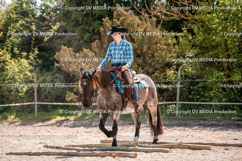 Balingen Tag 3-590 | dv-media-shop - Realisiert mit Pictrs.com