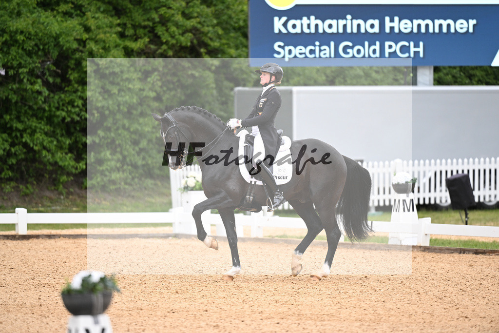 Hemmer_Special Gold PCH_26266254 | hf-fotografie - Realisiert mit Pictrs.com