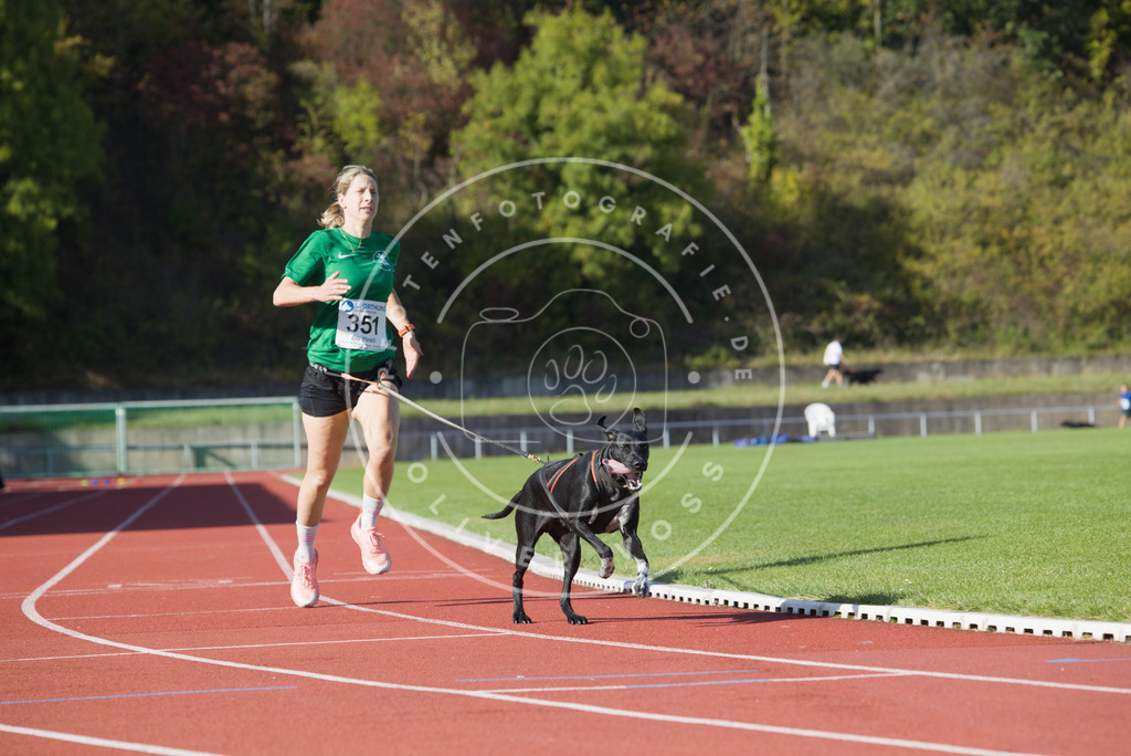 0L8A9547 | Hundefotografie, Tierfotograf, Pfotenfotografie, Fotoshooting Hund, Hunde Portrait, Hundesport, Hundeportraits, Heideshooting, Hunde, Sportfotograf, Hundefotograf, Turnierhundsport, THS,  - Realisiert mit Pictrs.com