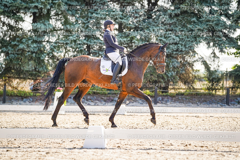 DSC09623 | Pferdegrafie