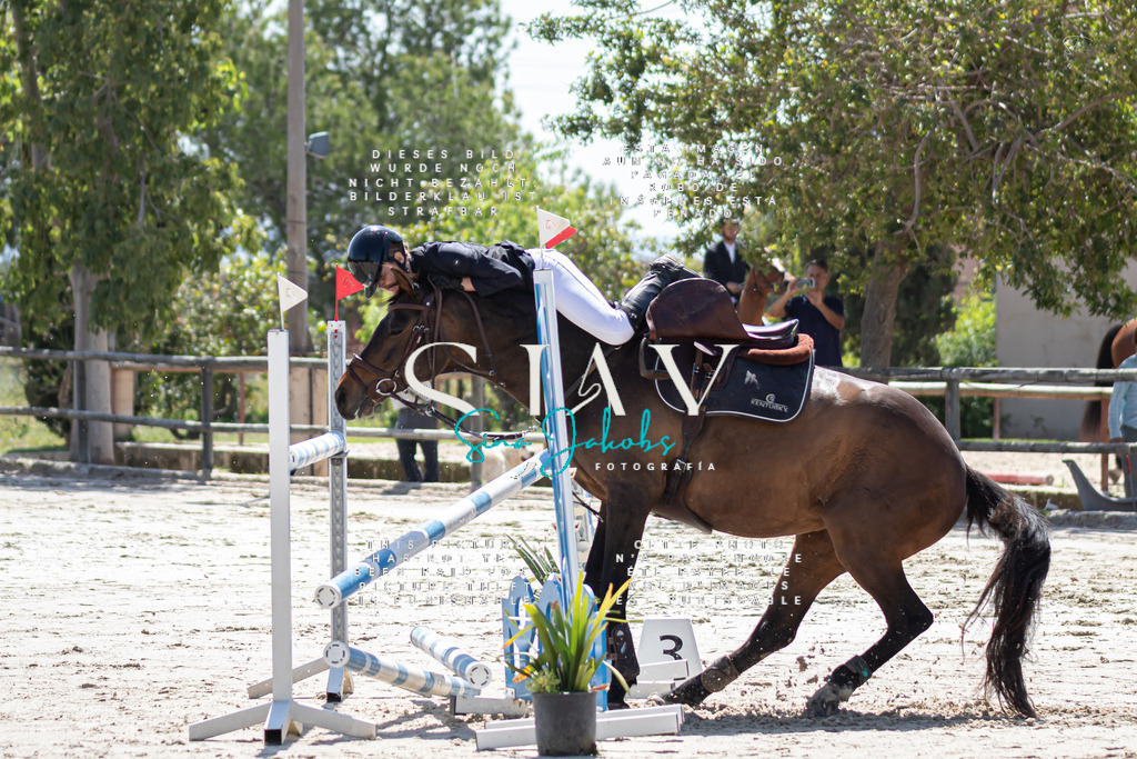 IMG_9937 | s-jay-photography - Realisiert mit Pictrs.com