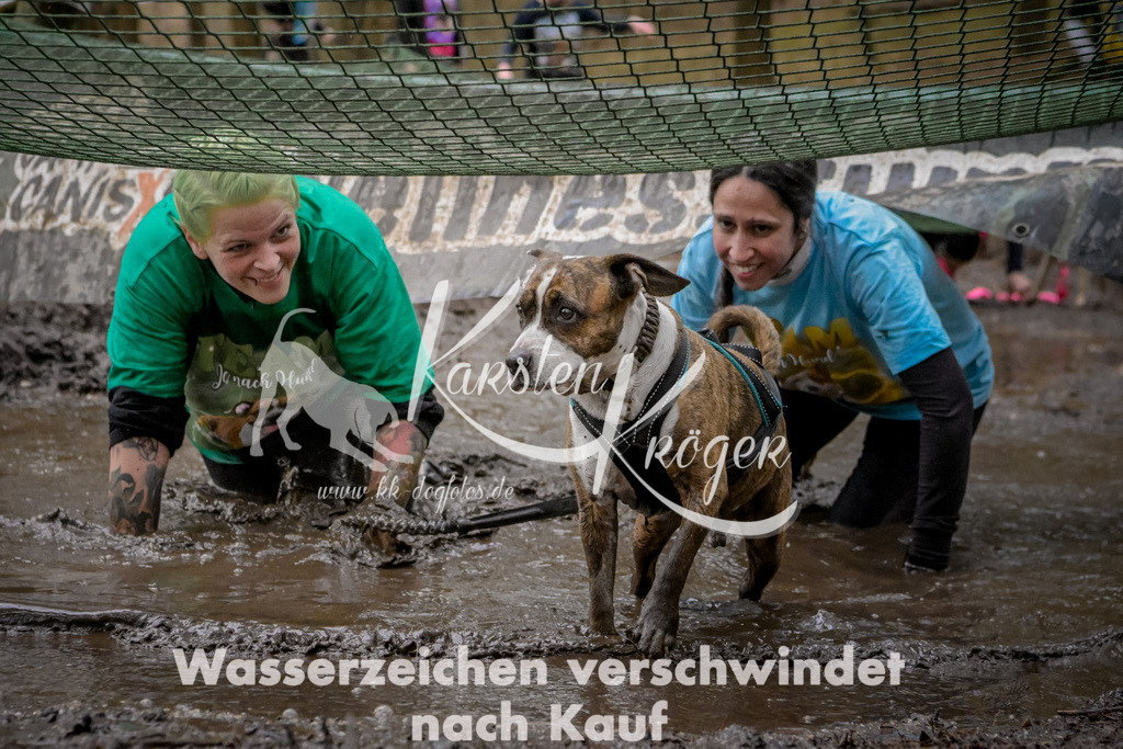 1007_ZZ99583 | kk-dogfotos