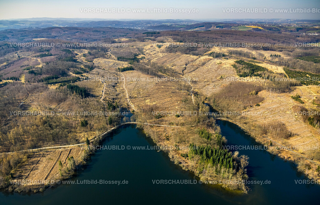 Moehnesee220301685 | Möhneseeufer, Waldsterben, Rodungen,  Brüningsen, Möhnesee, Sauerland, Nordrhein-Westfalen, Deutschland