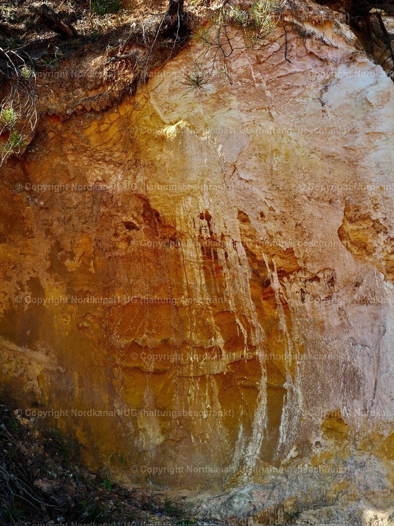 IMG_2892 | OLYMPUS DIGITAL CAMERA          - Realisiert mit Pictrs.com