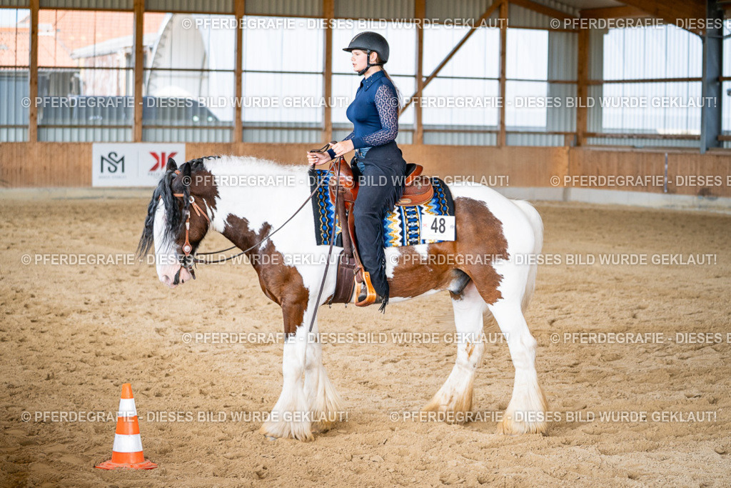 DSC09322 | Pferdegrafie