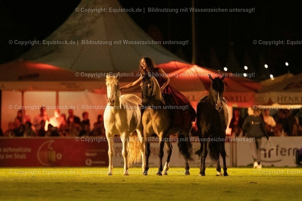 20230526_Pferdenacht_1508 | equistock