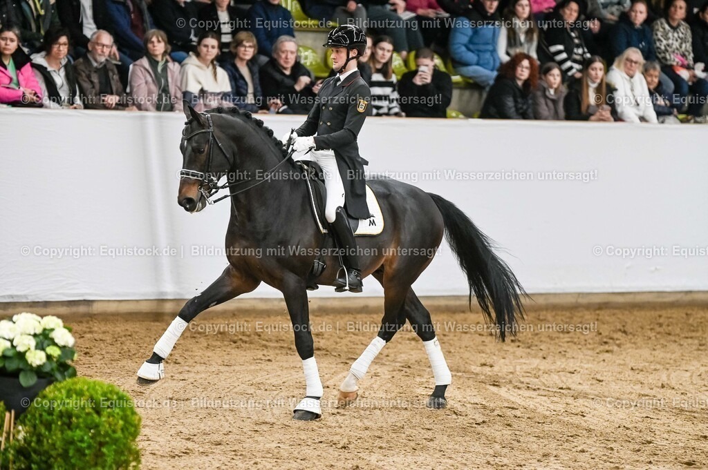20260307_Hengstvorstellung-Marbach_0196 | equistock