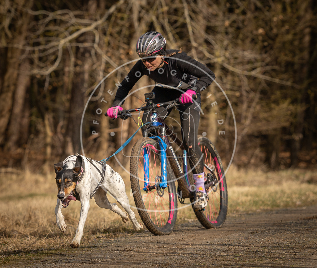 DV3A4236 | Hundefotografie, Tierfotograf, Pfotenfotografie, Fotoshooting Hund, Hunde Portrait, Hundesport, Hundeportraits, Heideshooting, Hunde, Sportfotograf, Hundefotograf, Turnierhundsport, THS,  - Realisiert mit Pictrs.com