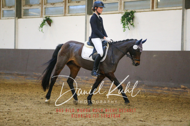 IMG_8053 | Turniersportfotografie; Pferdefotografie; Dressurfotografie