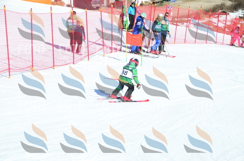 C5674 | holidayphoto