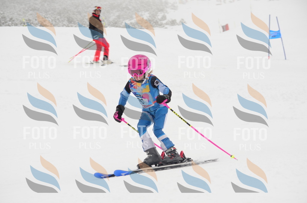 C1348 | holidayphoto