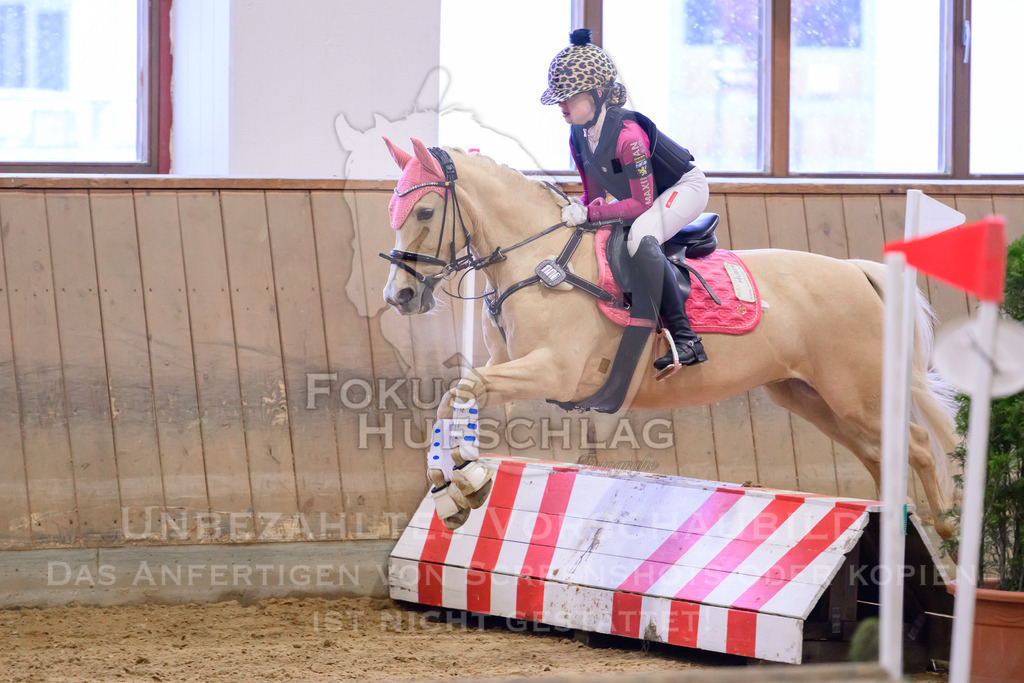 29032026-Schwaiganger-Prfg01-506 | Fokus Hufschlag Fotografie - Realisiert mit Pictrs.com