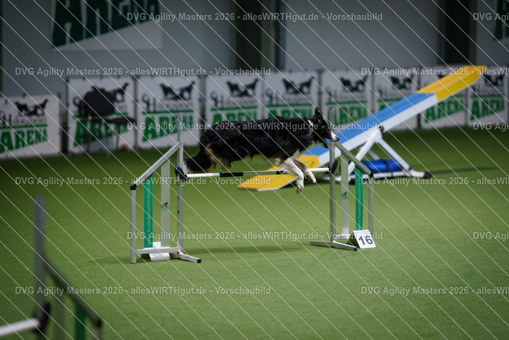 allesWIRTHgut_Tierfotografie-DVG_Agility_Masters_2026-15_06-7R502048 | Professionelle Tierfotografie in Mönchengladbach von Daniel Wirth (allesWIRTHgut). Liebevolle & natürliche Bilder von Hunden & Katzen für unvergessliche Erinnerungen.