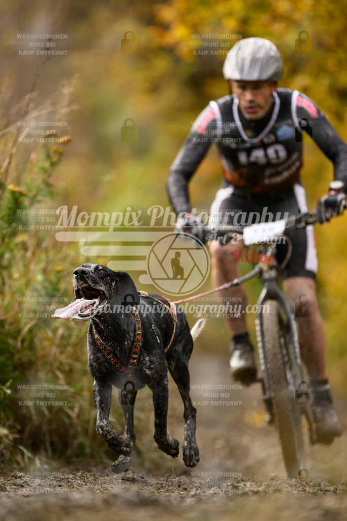 MompixPhotography_ICF_WC_2024_SA_Bike_-182 | PayLife