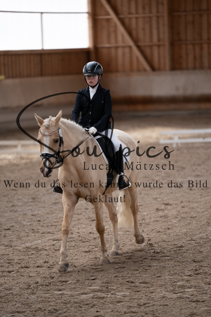 A7V09324 | Pferdefotograf