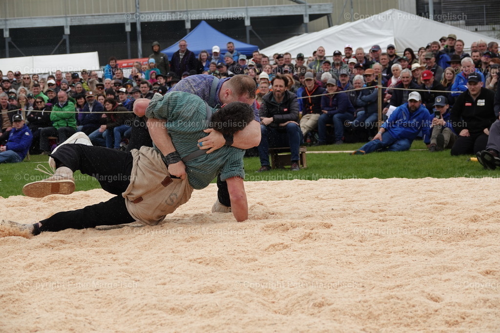 DSC03298 | Schwingen - Realisiert mit Pictrs.com