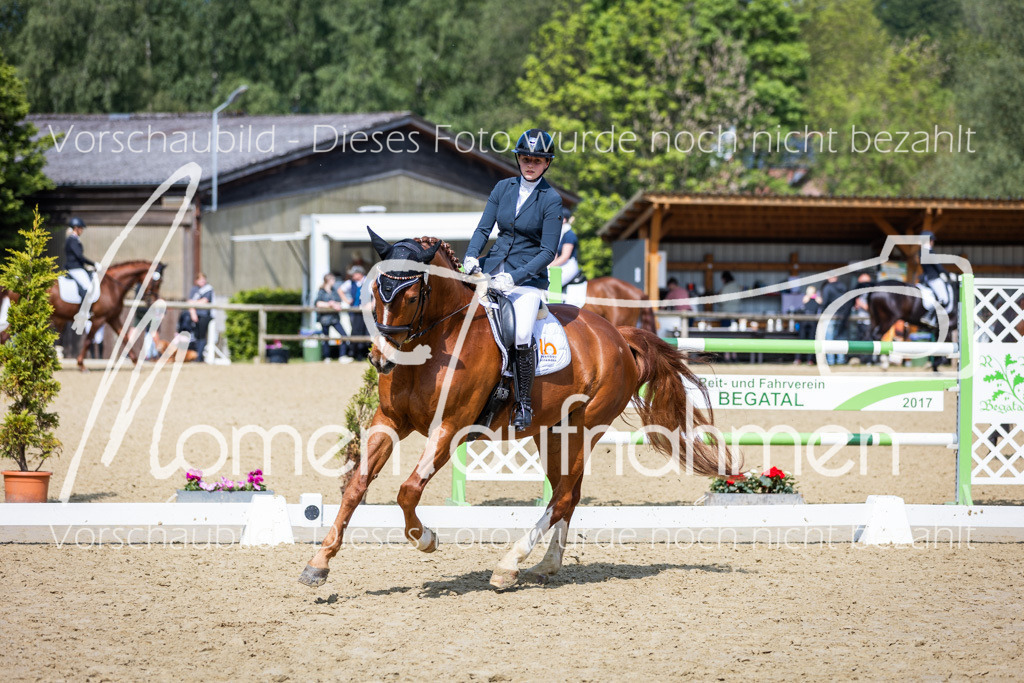 Donop24-L-Dre-021 | MomenTaufnahmen Pferdesportfotos