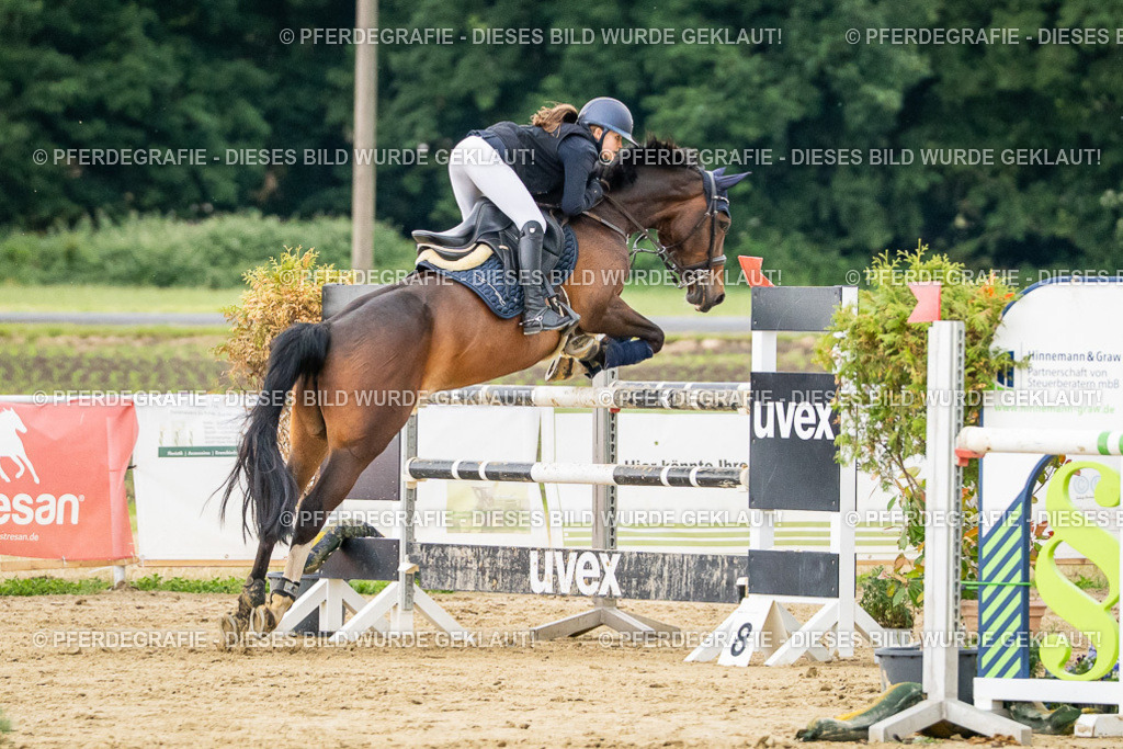 DSC06719 | Pferdegrafie