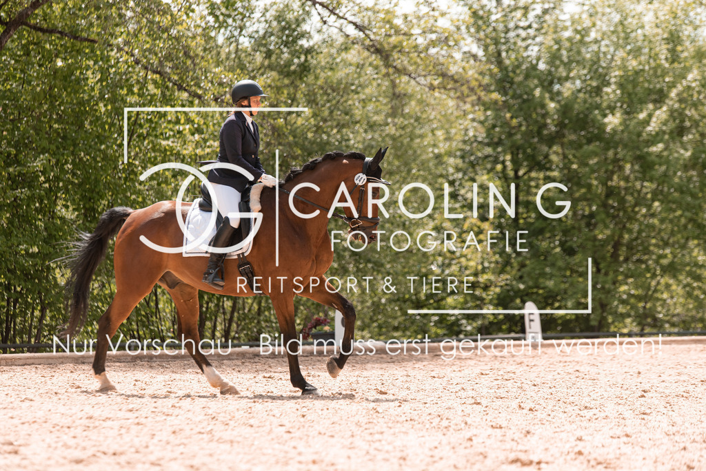 DSC_0307 | Turnierfotografin Carolin Gieschke, Turnierfotografie Carolin G Fotografie, Turnierfotos Kirchheim/Teck, Esslingen, Stuttgart, Bodenseekreis