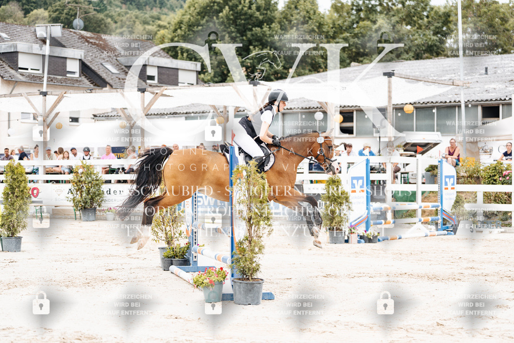 CK907873 | Turnierfotografie Pferdefotografie Trier Rheinland-Pfalz Pferdesport Reitsport Tierfotografie Sportfotografie Pferdevideo Pferdevideografie Equestrianvideography equestrianphotography  - Realisiert mit Pictrs.com