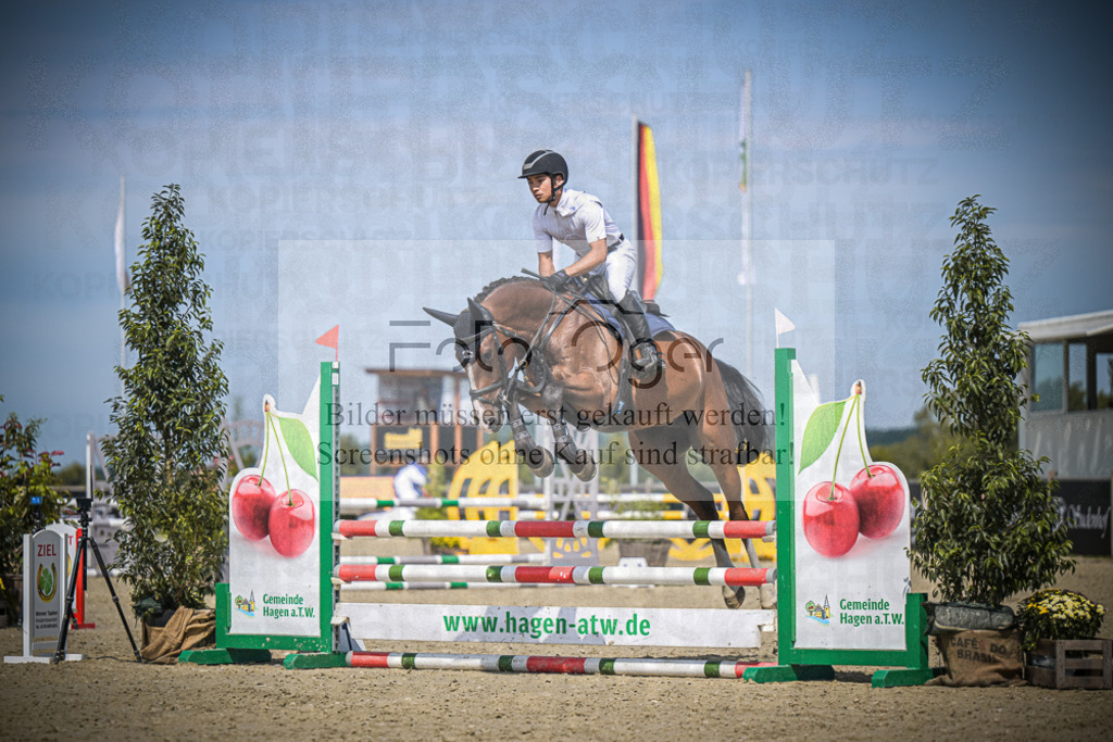 DOS_3569 | Entdecke hochwertige Reitturnierfotos von Foto Oger. Professionell, emotional und authentisch – jetzt Lieblingsmomente im Shop bestellen.Deutschlandweite Turnierfotografie. - Realisiert mit Pictrs.com