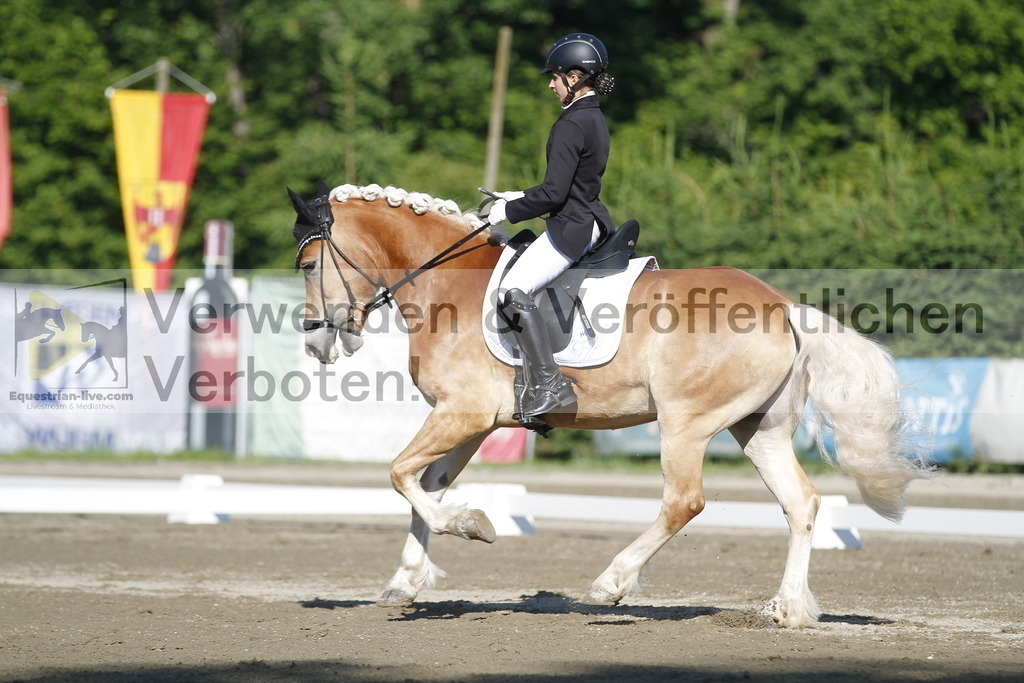 _MG_0470 | equestrian-live-com