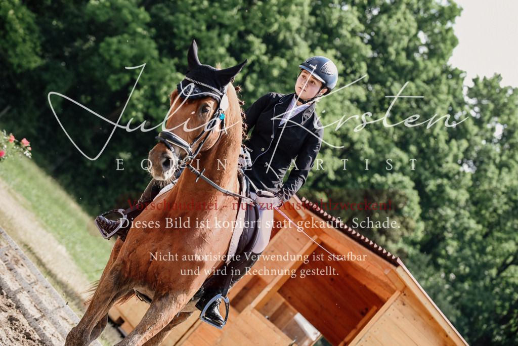DSC_1420 | Pferde- und Turnierfotografie in Westsachsen. Pferdeportraits, Auftragszeichnungen und intuitive Kunst.