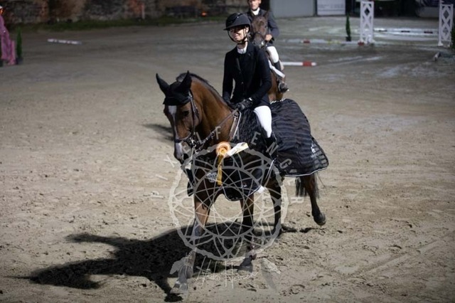 2B4A2020 | pixelfaenger - Realisiert mit Pictrs.com