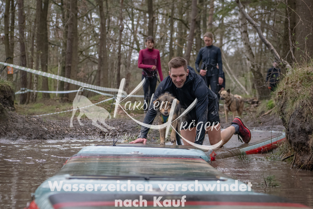 1131_ZZ93203-Bearbeitet | kk-dogfotos