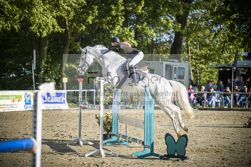 DOS_3752 | Entdecke hochwertige Reitturnierfotos von Foto Oger. Professionell, emotional und authentisch – jetzt Lieblingsmomente im Shop bestellen.Deutschlandweite Turnierfotografie. - Realisiert mit Pictrs.com