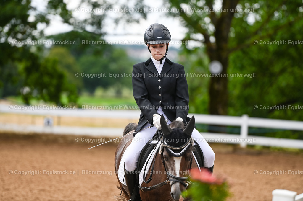 20230716_10-2_Reiter-WB Schritt - Trab - Galopp_0058 | equistock