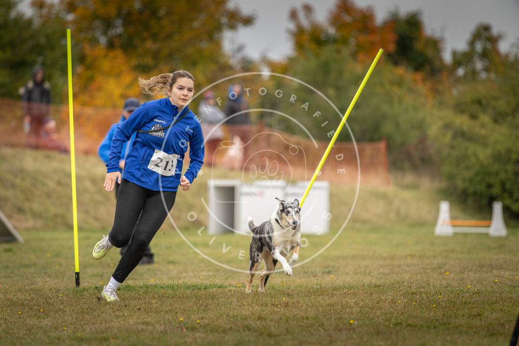 Pfotenfotografie_DV3A3407 | Hundefotografie, Tierfotograf, Pfotenfotografie, Fotoshooting Hund, Hunde Portrait, Hundesport, Hundeportraits, Heideshooting, Hunde, Sportfotograf, Hundefotograf, Turnierhundsport, THS,  - Realisiert mit Pictrs.com