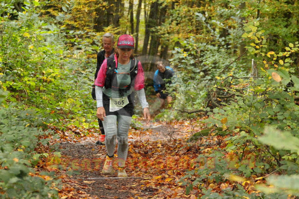 251026_1305_EV4_6484 | Sportfotografie im Rhein-Sieg Kreis, Köln, Bonn, NRW, Rheinland Pfalz, Hessen, etc. Unser Tätigkeitsfeld umfasst den Laufsport vom Volkslauf über den Marathon, Duathlon, Triathon bis zum Ultralauf wie Kölnpfad Ultra oder Schindertrail.