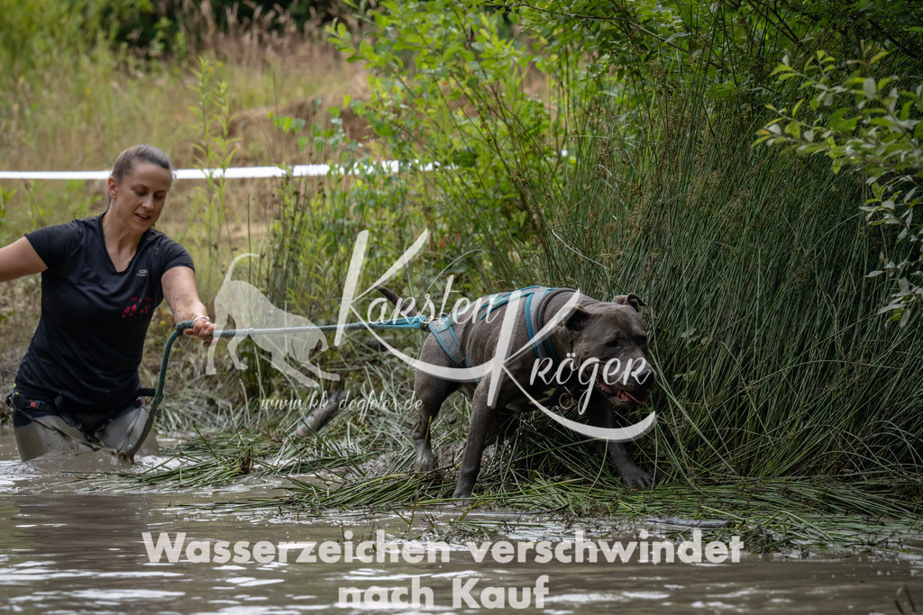 1449_ZZ93915 | kk-dogfotos
