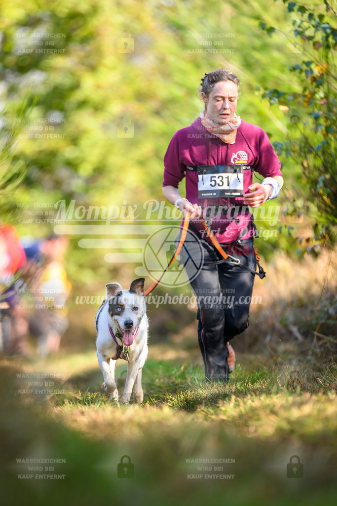 MompixPhotography_20TSB_E4_Run-262 | PayLife