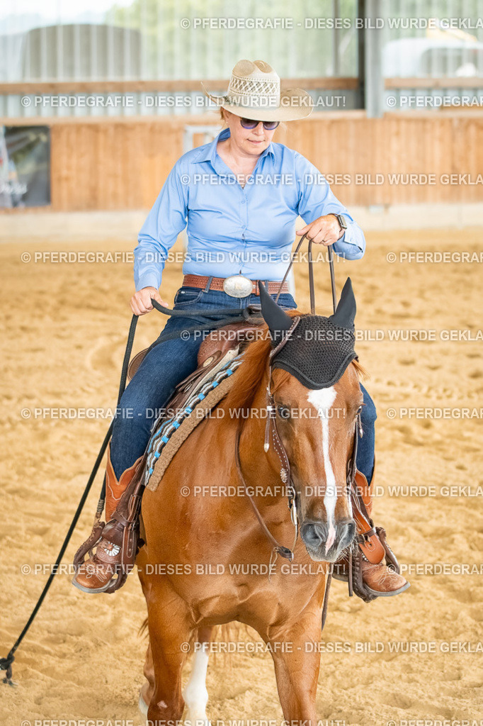 DSC07477 | Pferdegrafie