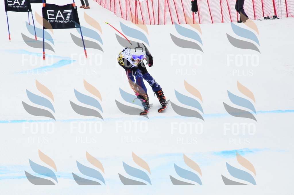 _ELE3992 | holidayphoto