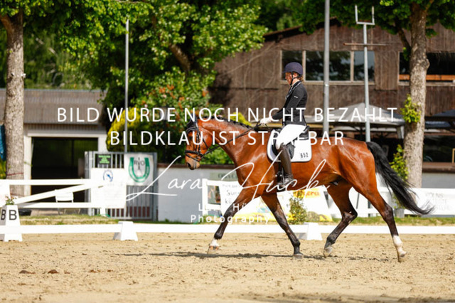 _62_2571 | larahueckfotografie