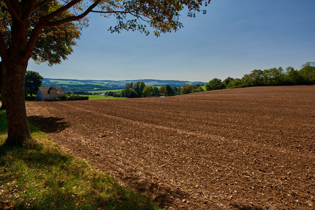Blick südlich von Wildenfels nach Süden 01 | Bedeutsame Landschaften Deutschlands - Realisiert mit Pictrs.com