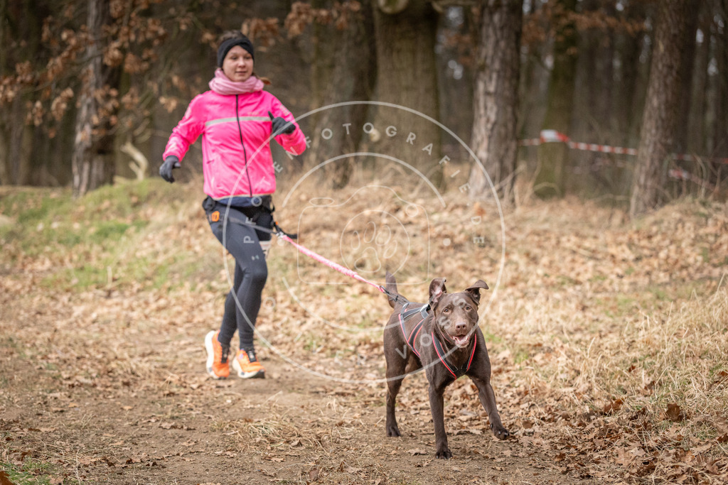 Pfotenfotografie_DV3A2070 | Hundefotografie, Tierfotograf, Pfotenfotografie, Fotoshooting Hund, Hunde Portrait, Hundesport, Hundeportraits, Heideshooting, Hunde, Sportfotograf, Hundefotograf, Turnierhundsport, THS,  - Realisiert mit Pictrs.com