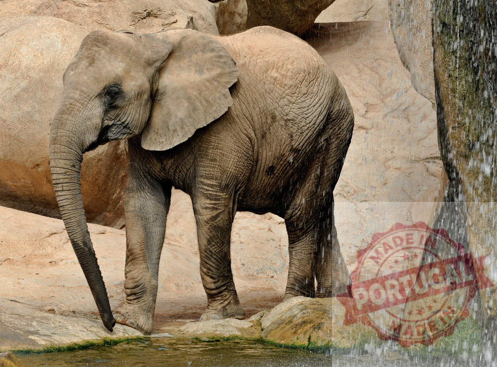 African elephant standing by waterfall drinking water | African elephant standing at the edge of a watering hole with falling water and rock formations - Realisiert mit Pictrs.com