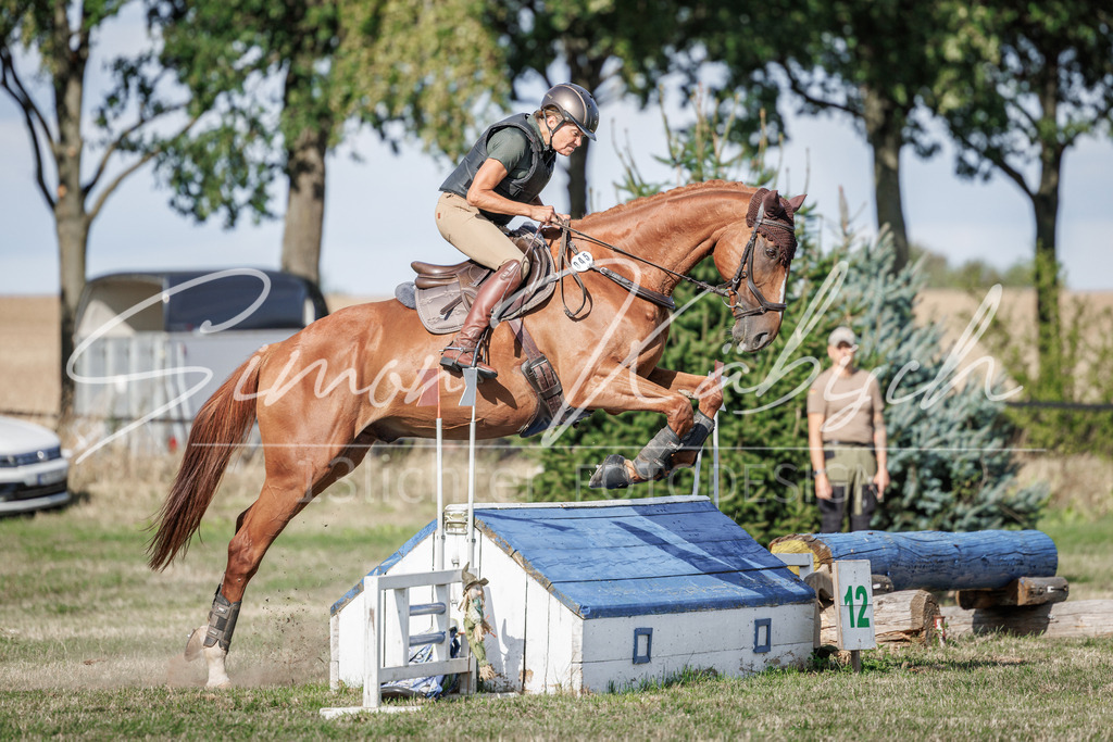20260905-_3LI0128 | Tierfotografie Pferde, Hunde, Katzen, Haustiere.
Turnierfotografie Reitturniere, Reiten, Springreiten, Dressur in Hanau, dem Main-Kinzig-Kreis und dem Rhein-Main- Gebiet um Frankfurt