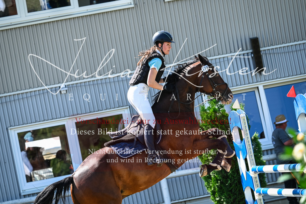 DSC_1483 | Pferde- und Turnierfotografie in Westsachsen. Pferdeportraits, Auftragszeichnungen und intuitive Kunst.