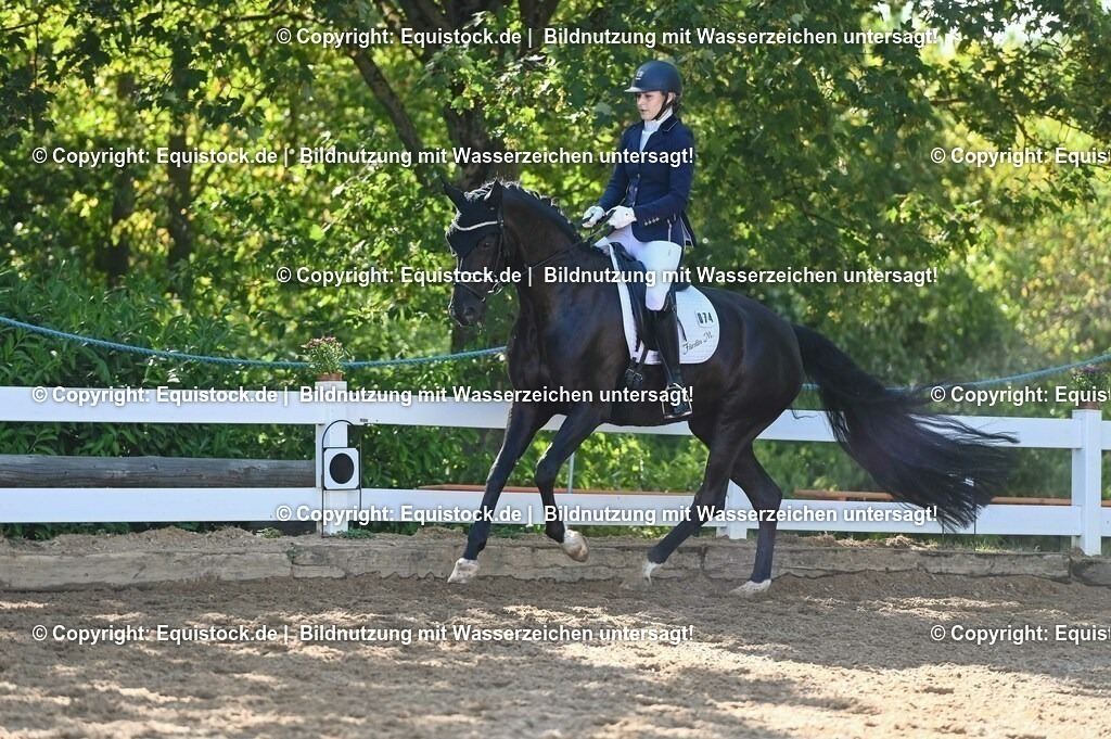 20230715_06_Dressurpferdeprfg. Kl.A_0259 | equistock