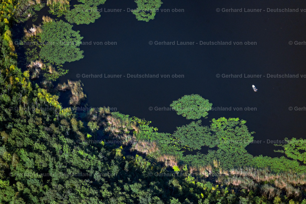 4062299 | ROGGENTIN 08.09.2021 Blick auf eine Seenlandschaft in Roggentin im Bundesland Mecklenburg-Vorpommern. Zu sehen sind die von einer Waldlandschaft umgebenen Seen Mössel (vorne),Leppinsee (mittig) und Woterfitzsee (hinten). // View of a seascape in Roggentin in the state Mecklenburg-West Pomerania. Foto: Gerhard Launer