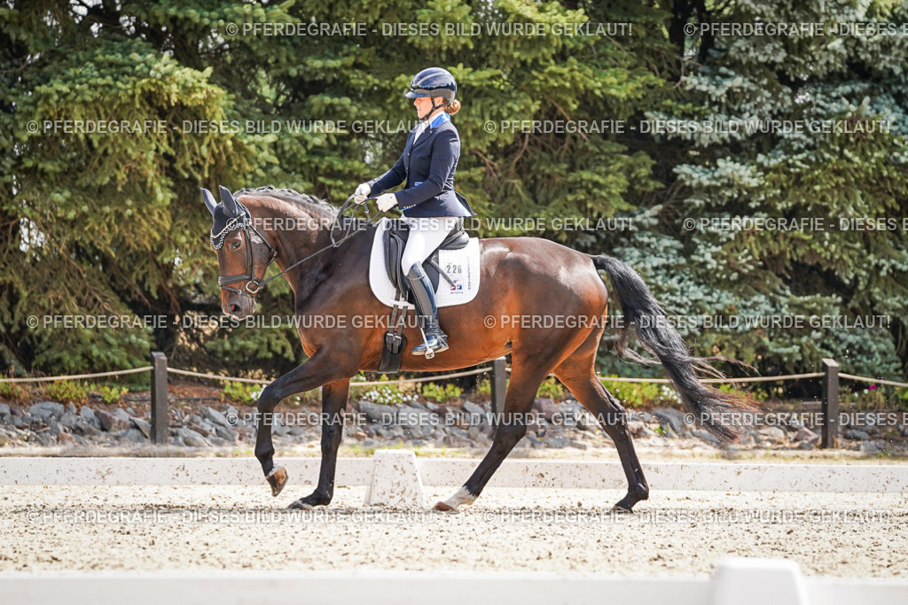 DSC09315 | Pferdegrafie