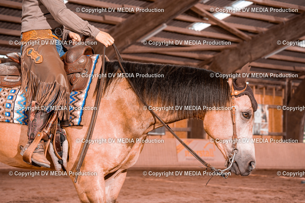 NE200493 | dv-media-shop - Realisiert mit Pictrs.com