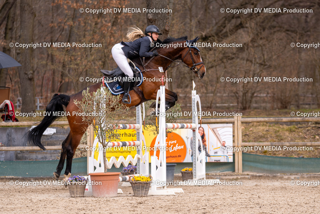 Kranichstein Tag 2-1711 | dv-media-shop - Realisiert mit Pictrs.com