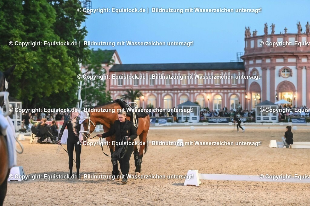 20230527_Voltigieren_NASPA_Flutlicht_0471 | equistock